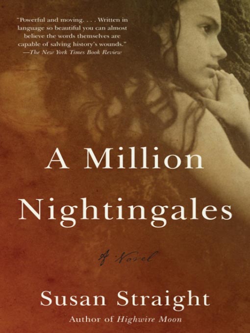Title details for A Million Nightingales by Susan Straight - Available
